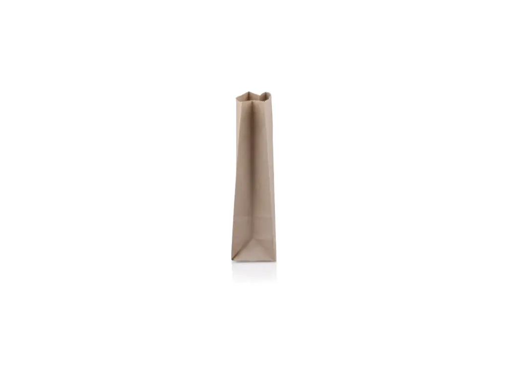 Kraft Paper Bag - SO3 - Side PBBKSO3.webp