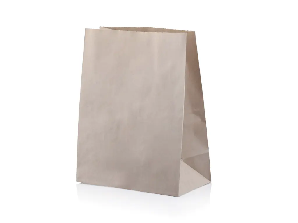 Kraft Paper Bag - SO40 - PBBKSO40.webp