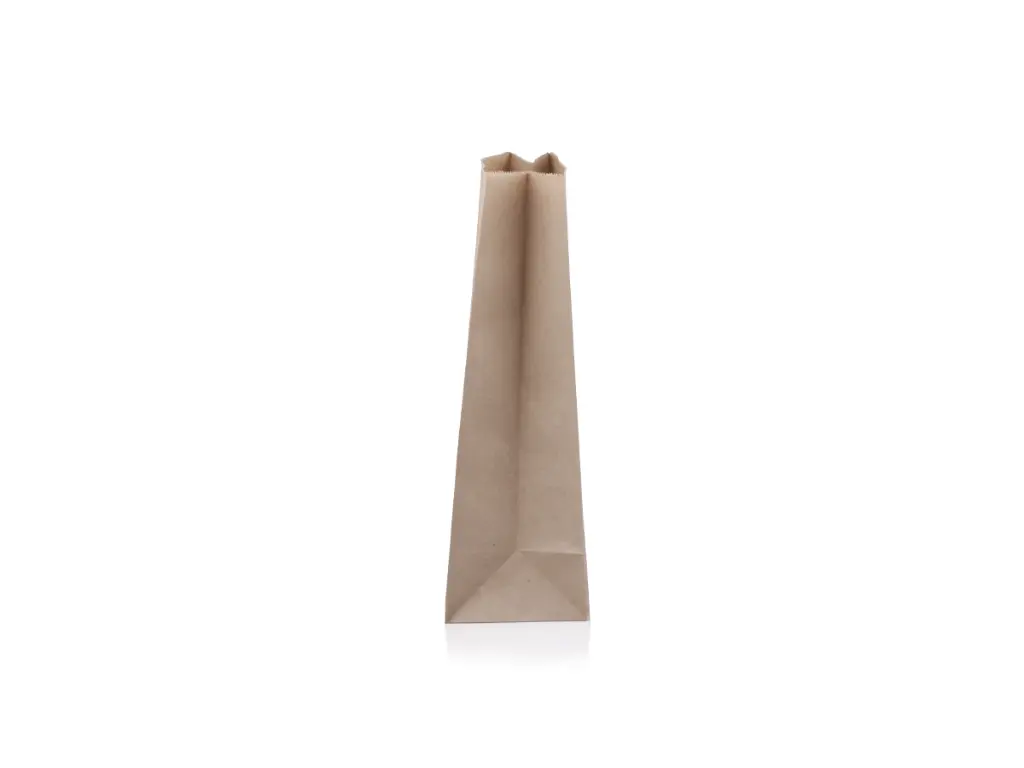 Kraft Paper Bag - SO8 - Side PBBKSO8.webp
