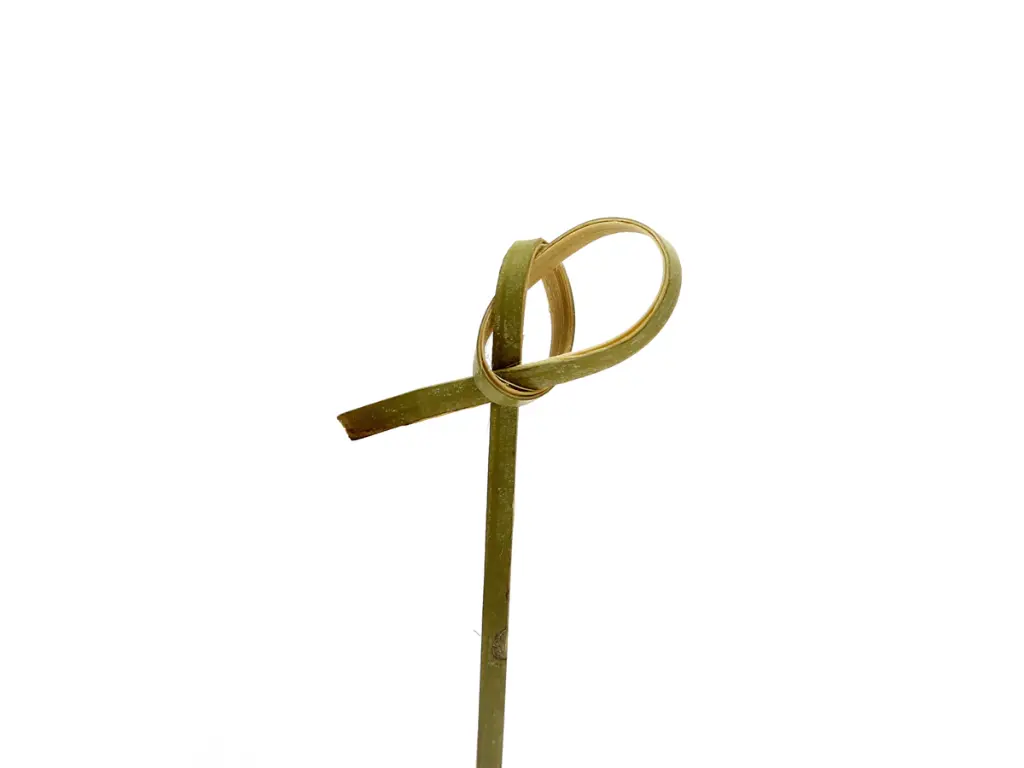 Knotted Skewer-Knot.webp