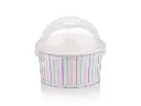 180ml Multicolour Stripe Vintage Ice Cream with Dome Lid.webp