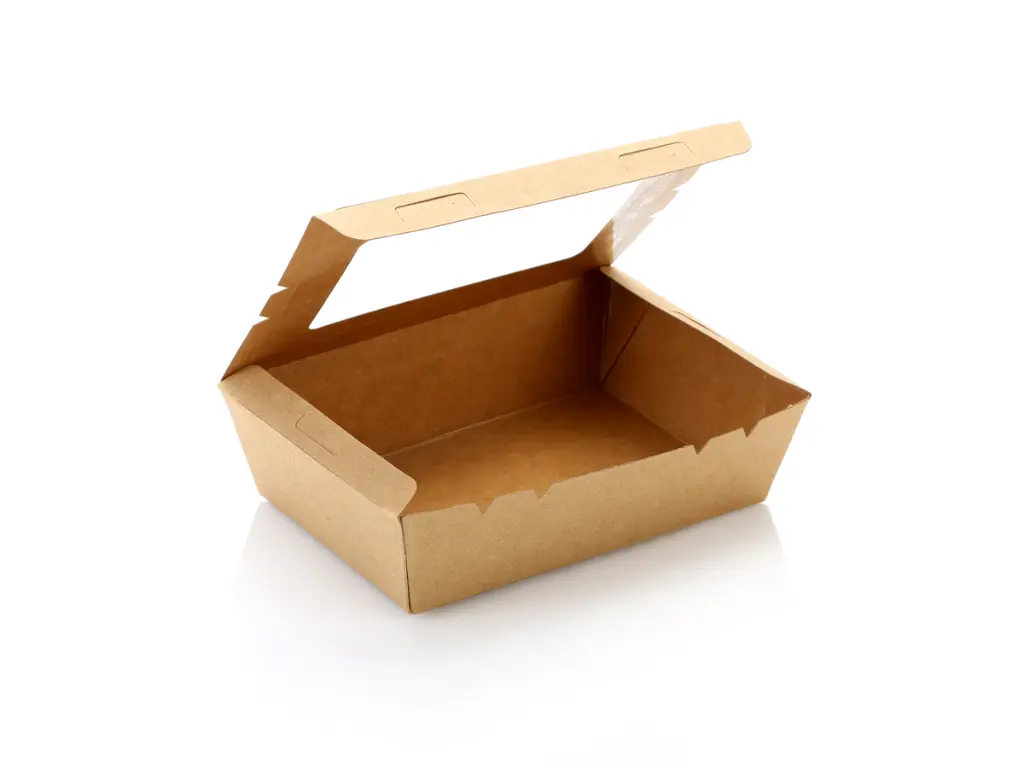 TA-Small Salad Lunch Box-LDPE-Food-SalBx2S-2.webp