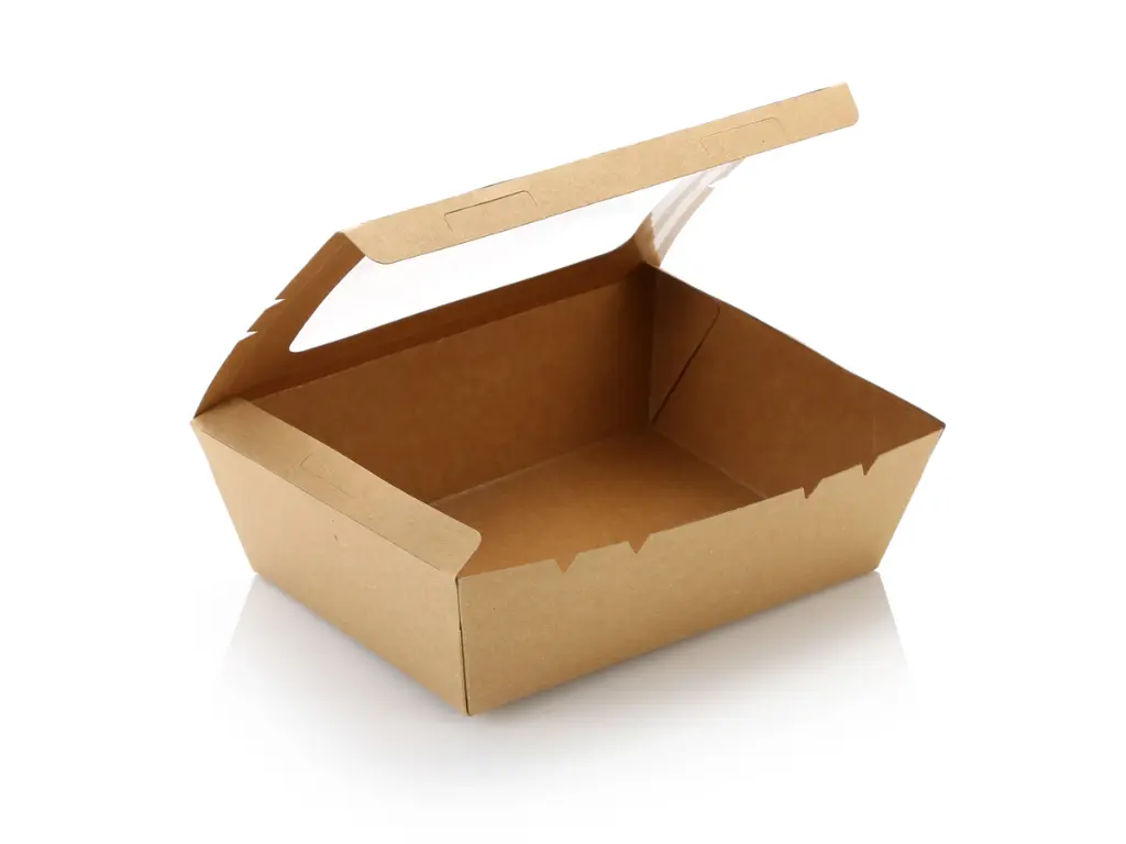 TA-Large Salad Lunch Box-LDPE-Food-SalBx4S-2.webp
