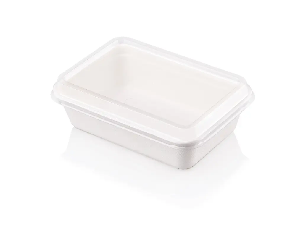 NEW Rectangular Sugar Cane Meal 500ml Container & Lid FOOD-MEAL600.webp