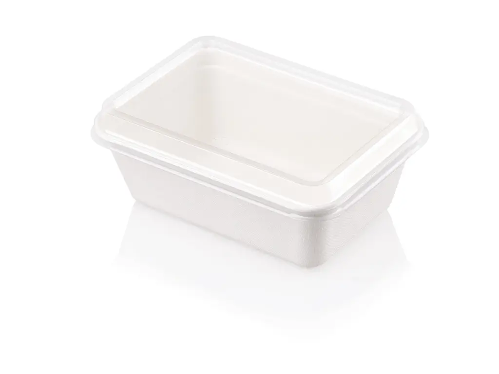NEW Rectangular Sugar Cane Meal 650ml Container & Lid FOOD-MEAL650.webp