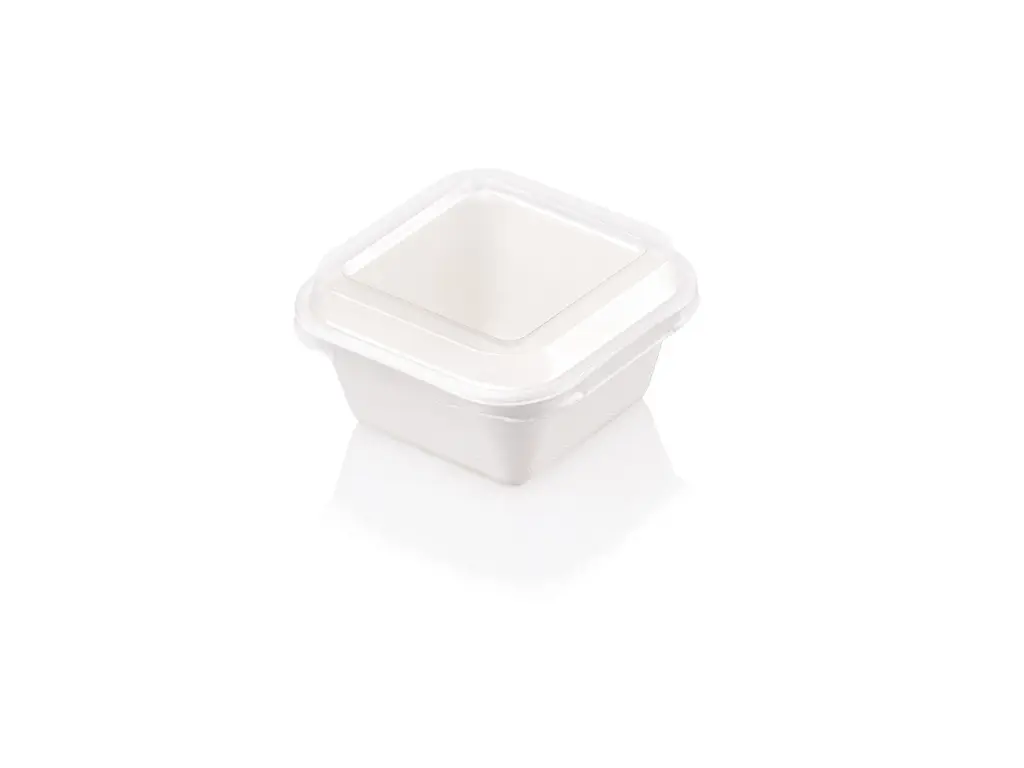 NEW Square Sugar Cane Meal 250ml Container & Lid FOOD-MEAL250.webp