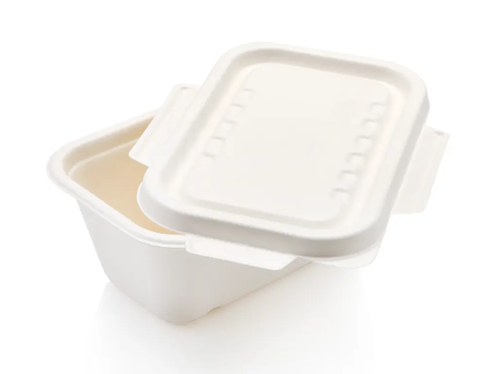 FOOD-DTWY1000-b copy.webp