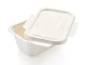 FOOD-DTWY1000-b copy.webp