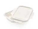 FOOD-DTWY450-b copy.webp