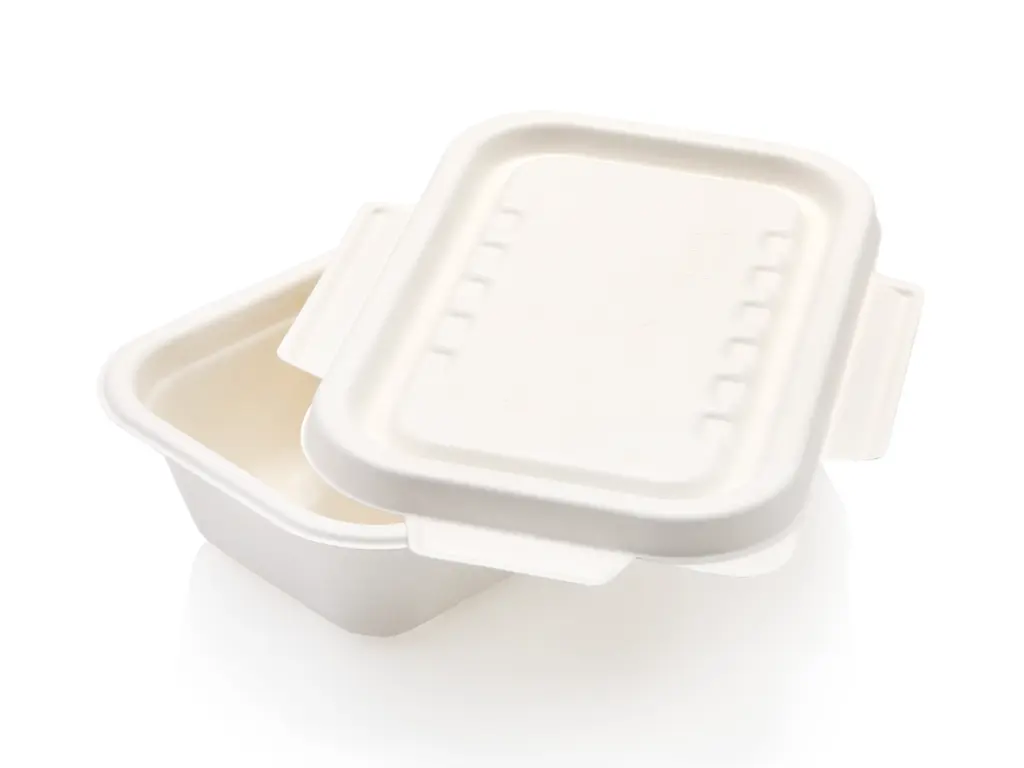 FOOD-DTWY500-b copy.webp
