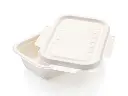 FOOD-DTWY500-b copy.webp