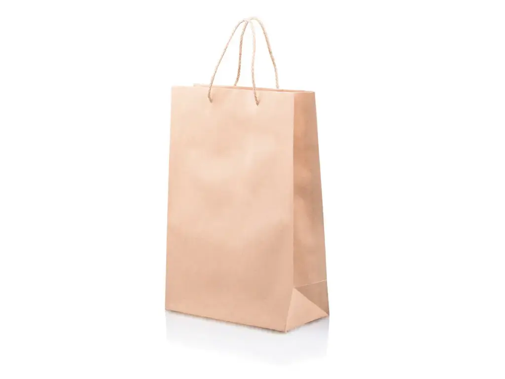 Carry Bag: Paper Shopper Bag (LONG) with String Handle - Large ???? **REMOVE??