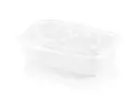 Microwavable: 500ml Food Container & Lid (COMBO) (50's) - KM
