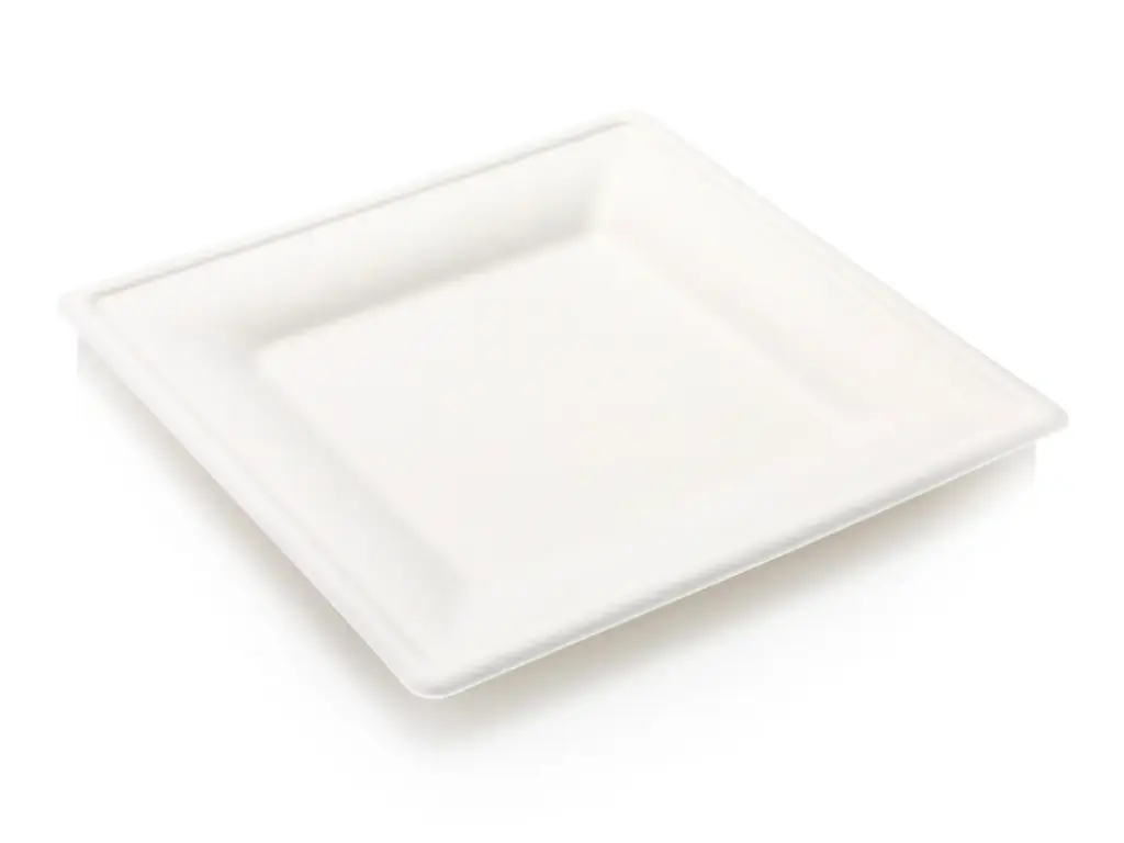 Plate: Sugarcane - Square 26cm 