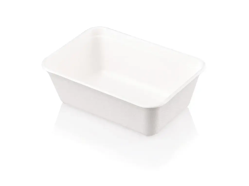 Meal Container: Sugarcane - 650ml (Rectangle)