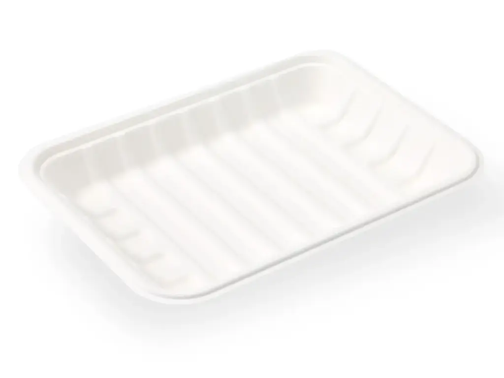 Deli Trays: Sugarcane 24cm x 17.5cm (Small) (50's) 