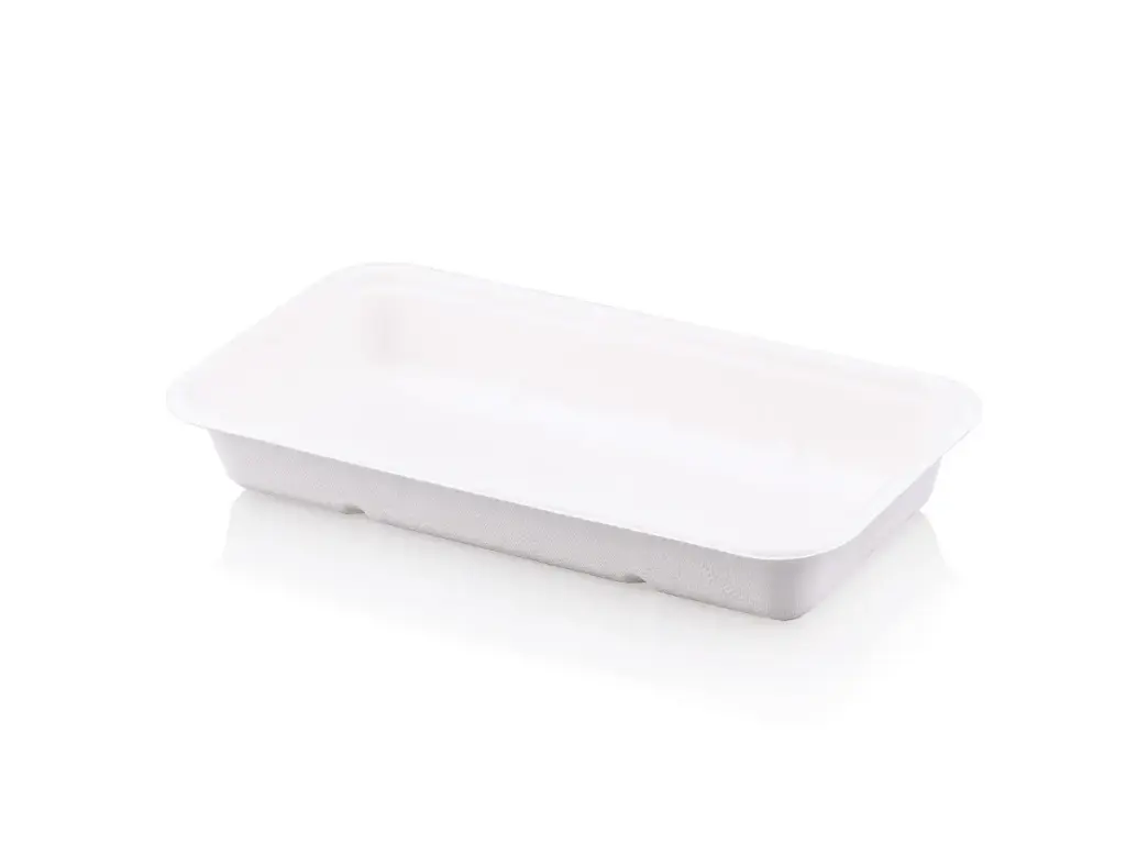 Deli Trays: Sugarcane Snack (Rectangle) - 23cm x 12cm (50's)