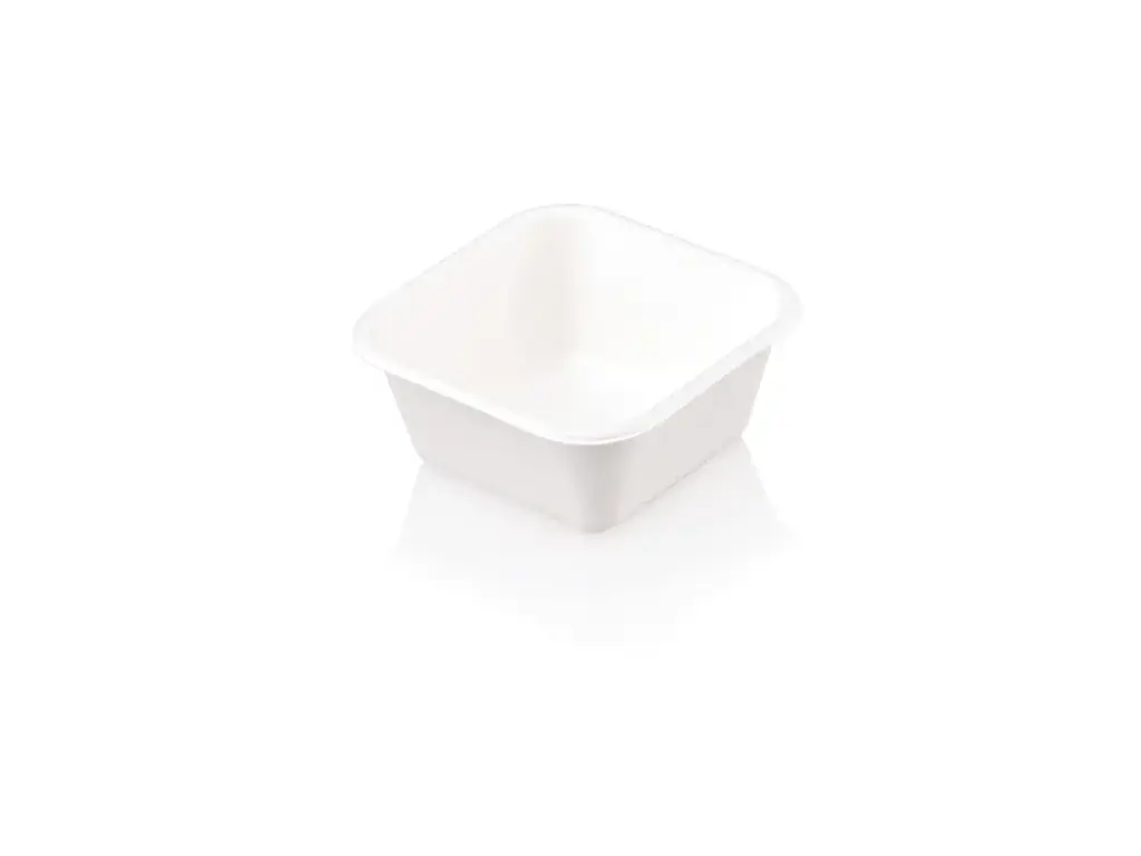 Sugar Cane - Meal Container 