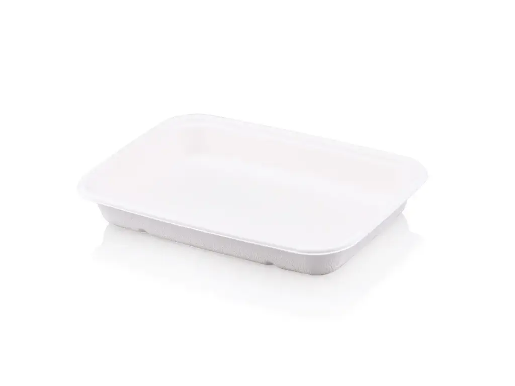 Sugar Cane - Deli Meal Container 