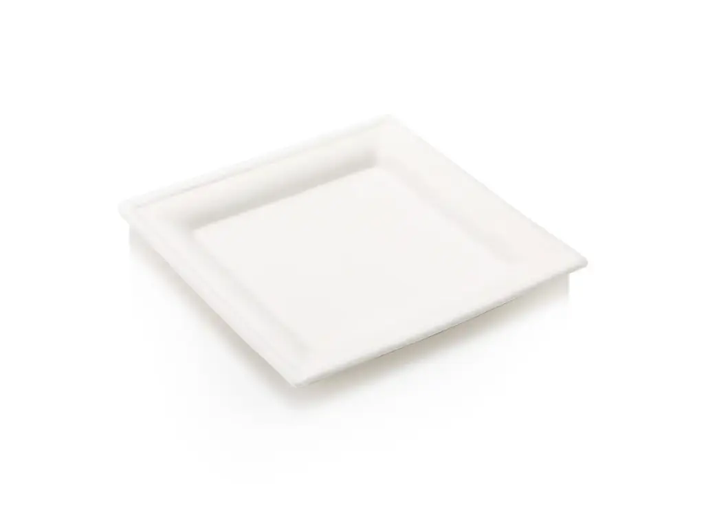 Sugar Cane - Plate - Square 