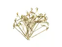 Skewer - Knotted 12cm