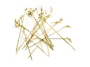 Skewer - Knotted 18cm